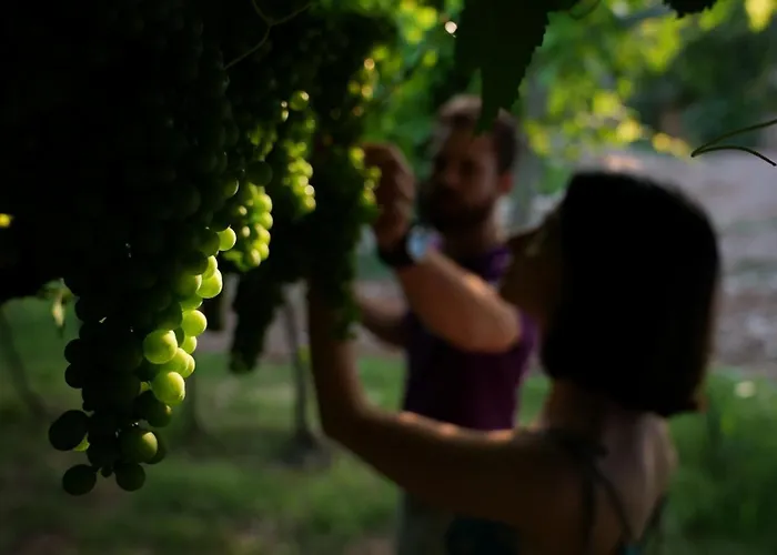 Agriturismo Ai Dossi